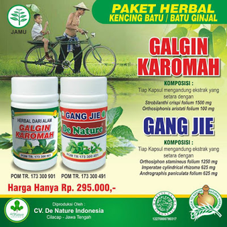 Illustration for article titled Apakah Penyakit Gagal Ginjal Berbahaya